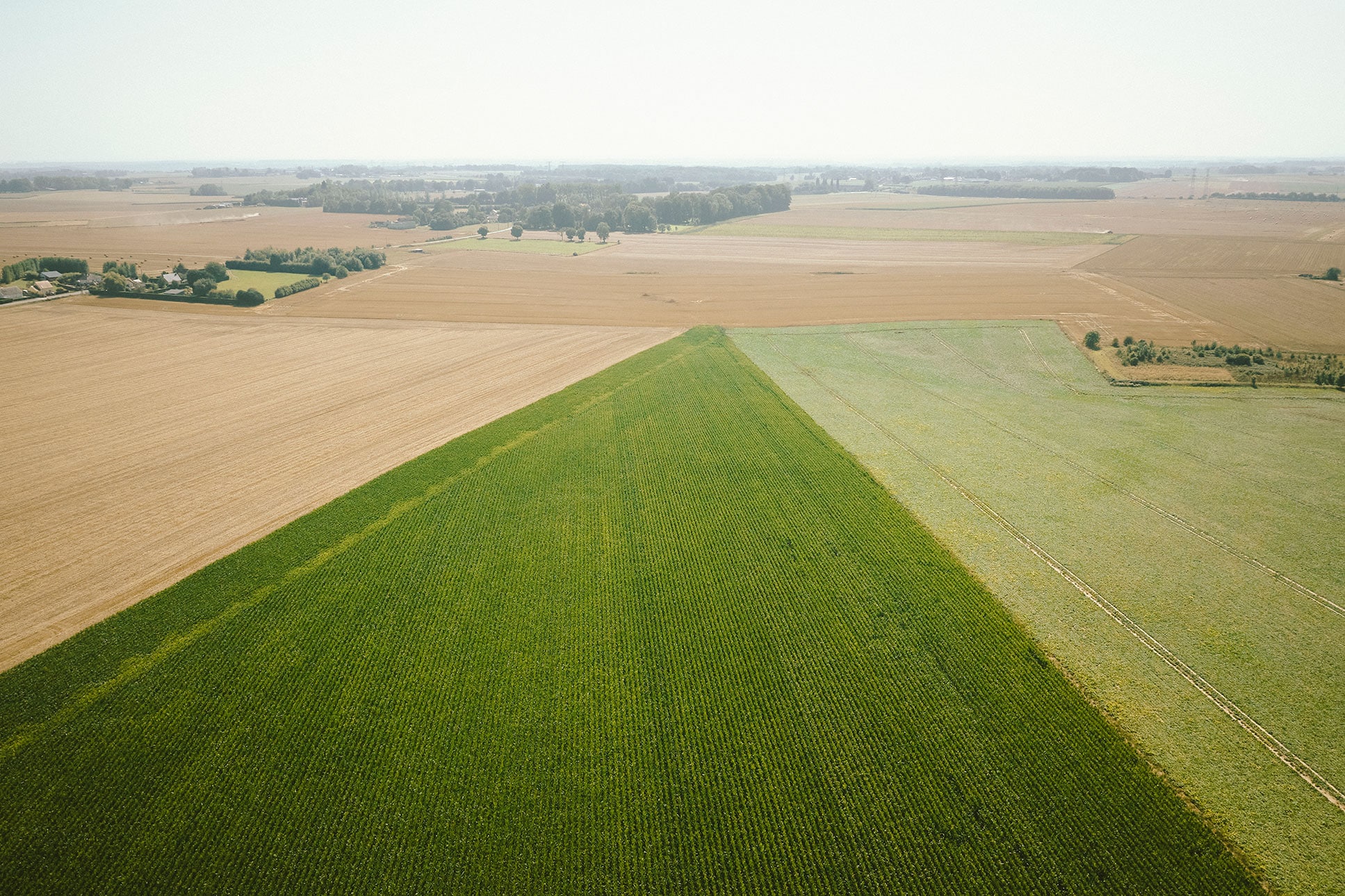 リネン｜長く使うほど馴染む天然素材_ci5Gq2