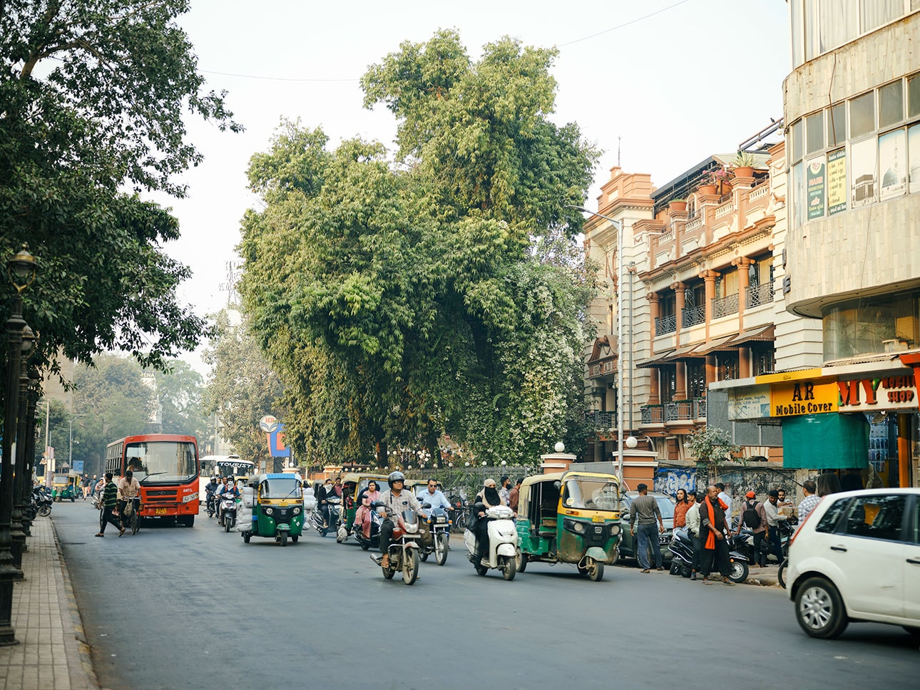 オーガニックコットン|健康な土が、次世代へつながる_05MVaK