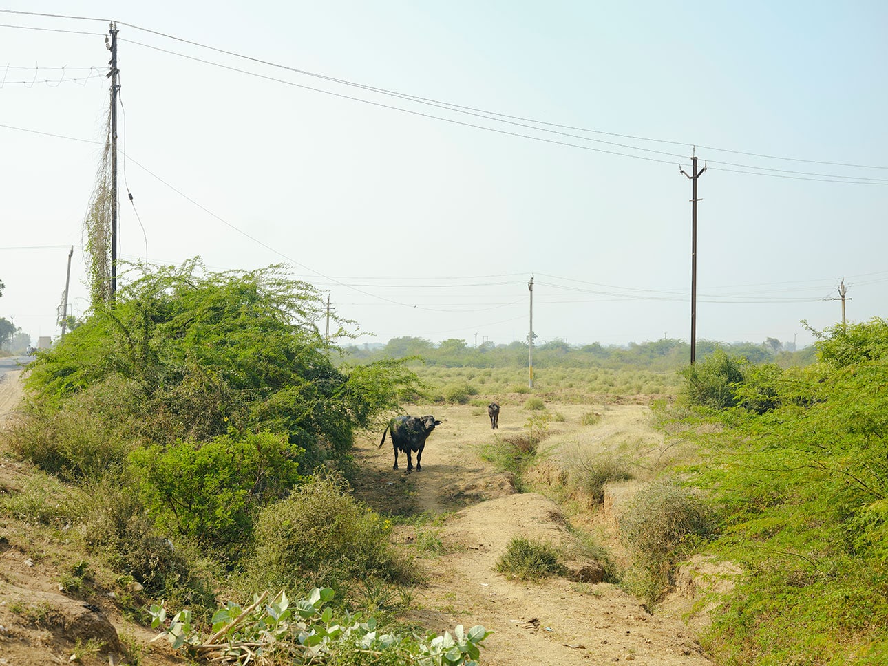 オーガニックコットン|健康な土が、次世代へつながる_HR2WQw