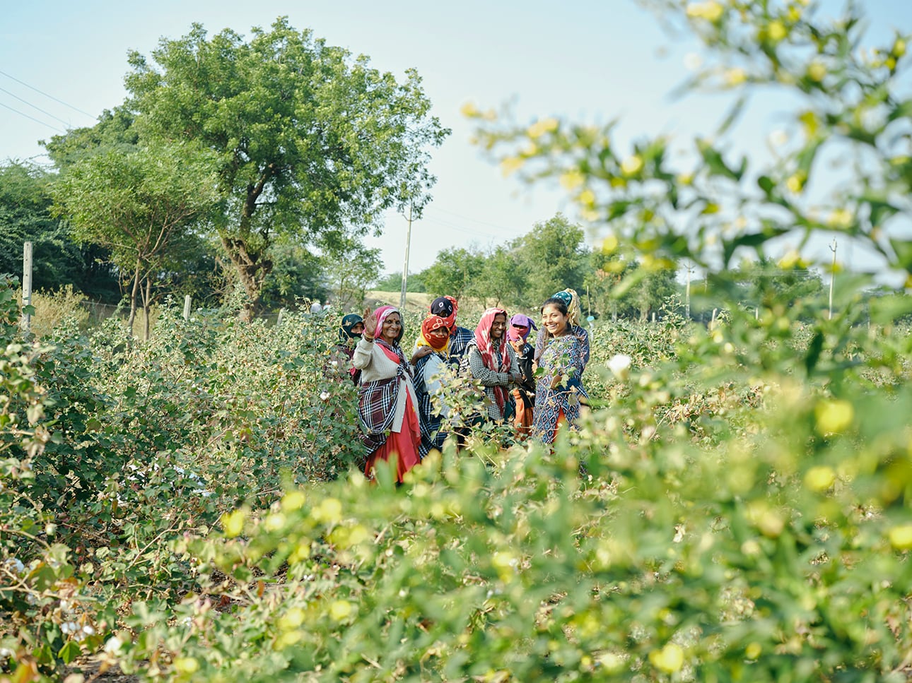 オーガニックコットン|健康な土が、次世代へつながる_zogN5O
