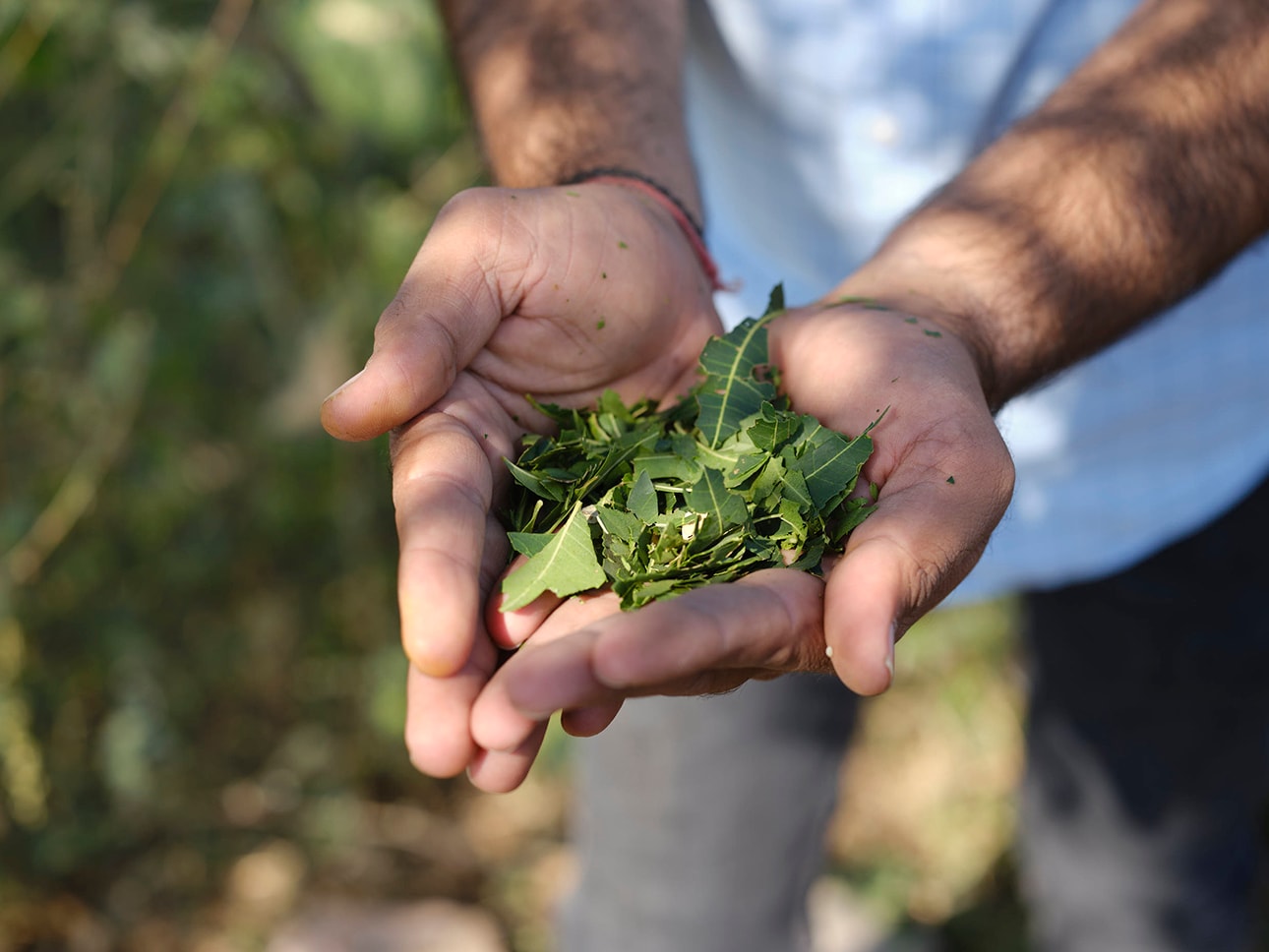 オーガニックコットン|健康な土が、次世代へつながる_viya38