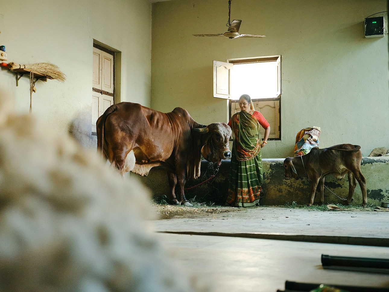 オーガニックコットン|健康な土が、次世代へつながる_mE5d5A