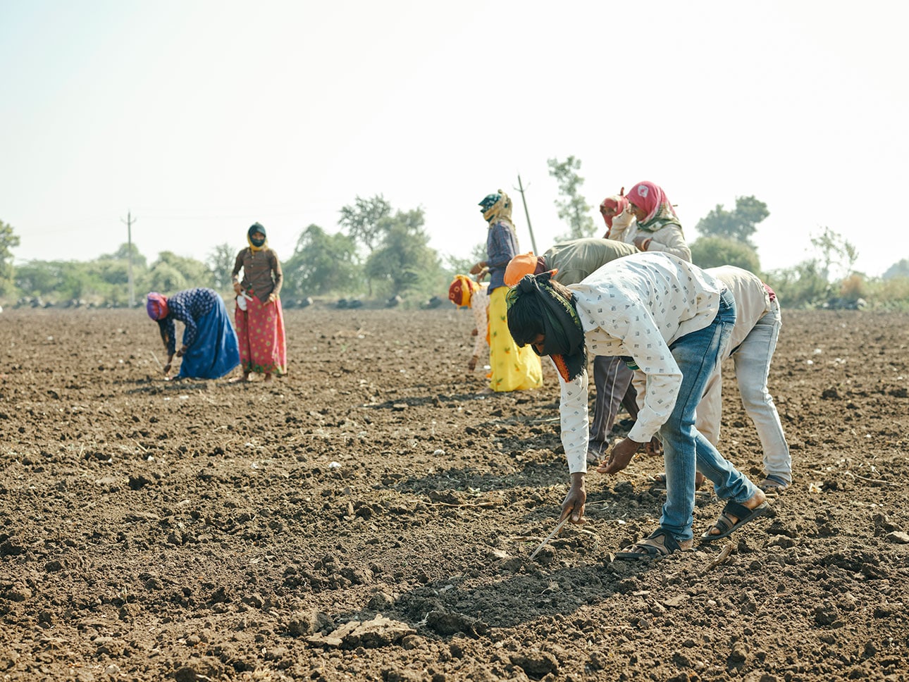 オーガニックコットン|健康な土が、次世代へつながる_8fl6q3