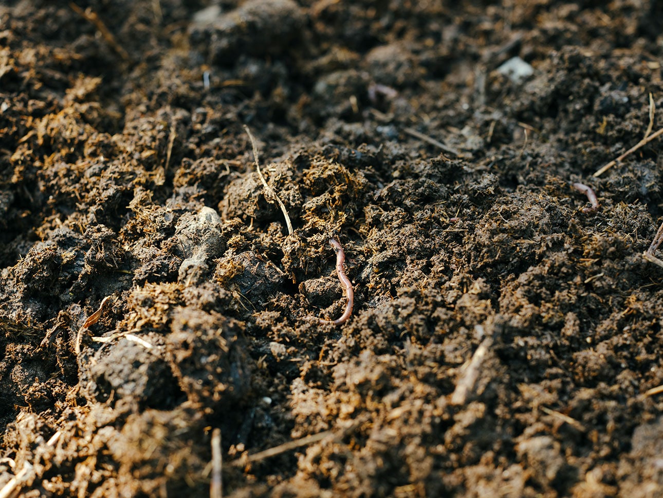 オーガニックコットン|健康な土が、次世代へつながる_onkW1H