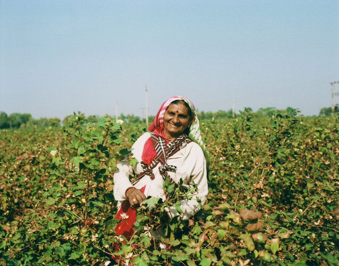 オーガニックコットン|健康な土が、次世代へつながる_n01RB4