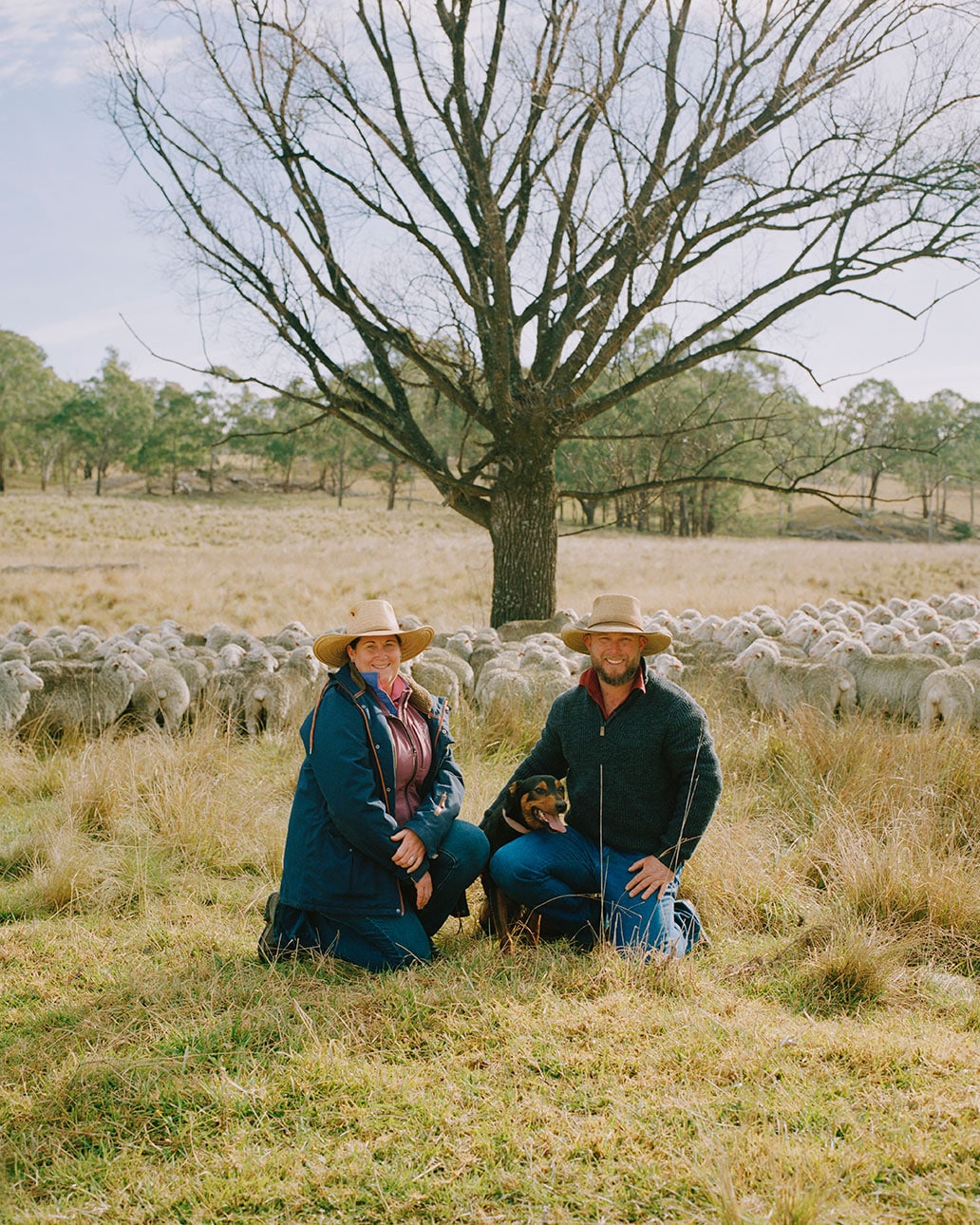 メリノウール｜なめらかで多機能な天然繊維_GSGBX2