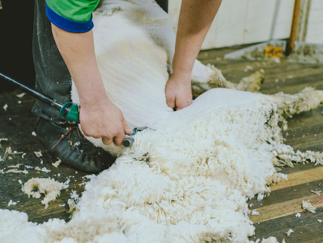 メリノウール｜なめらかで多機能な天然繊維_UNeW3s