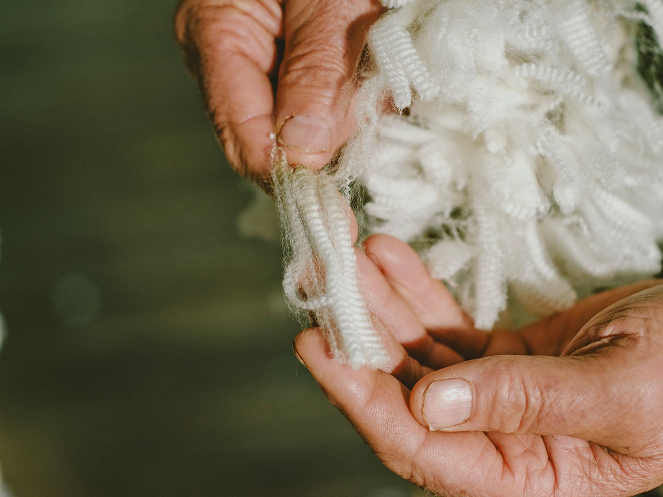 メリノウール｜なめらかで多機能な天然繊維_Jn2Bew