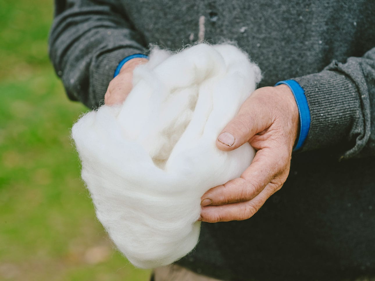 メリノウール｜なめらかで多機能な天然繊維_9uNQa3