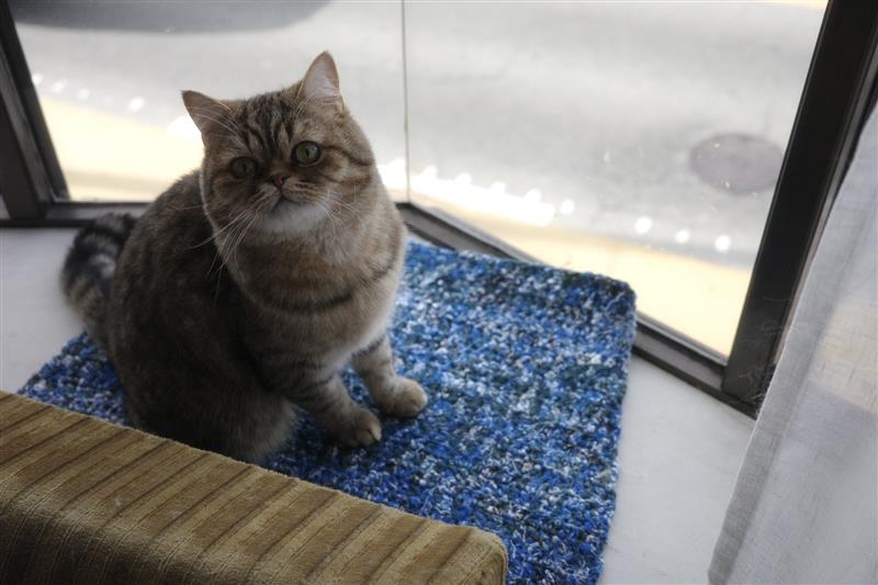 「裂いて編む、その過程こそが自分を取り戻すひととき」荻野玲子さん_52dGYO