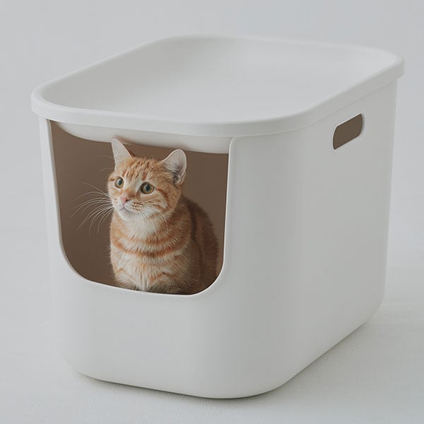 「トイレとしても、くつろぎのハウスとしても。猫と人の心地良い距離感をつくる一台二役。」