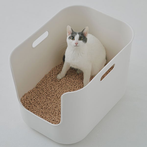 猫の安心感を高める“囲われ”形状