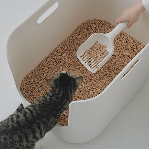 「すくう、ふるう、立てる。」