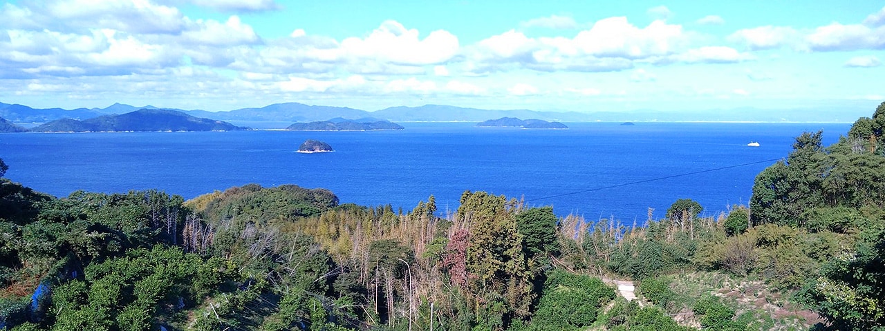 記事内画像：001 みかんの島のみかん農家【にいうち農園】が育てる、山口県オリジナル柑橘
