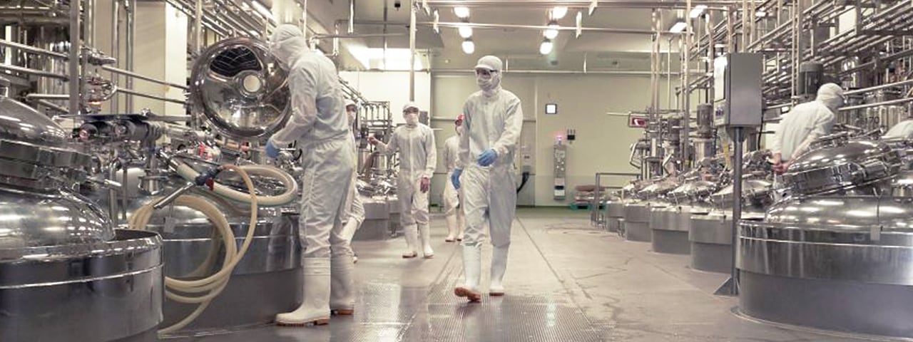 記事内画像：002 伝統は古く、技術は新しく。焼津から届ける究極の引き算【やいづ善八】