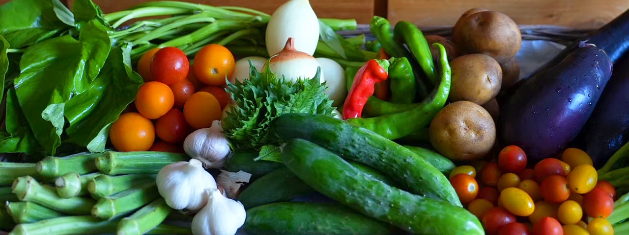 記事内画像：003 毎日の食卓に南阿蘇の風を　【南阿蘇手づくり農園菜の風】