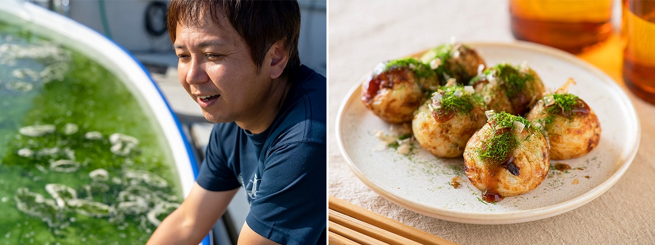 記事内画像:003 真珠養殖業者が始めた、新しい海の仕事。「無茶々園」の青のり