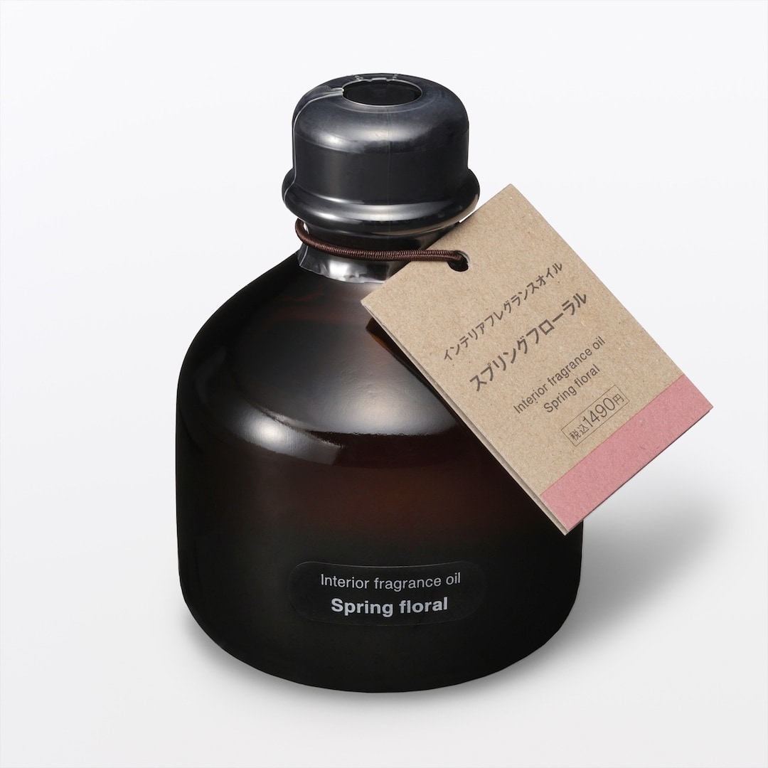 2026年2月 発売予定の衣料品・小物_QZGr78