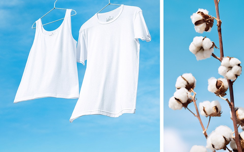 さらっとなのは、綿だから。さらっと綿インナー