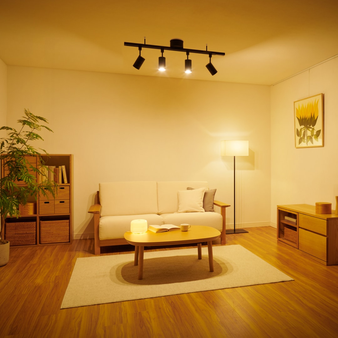 複数の照明がある部屋の画像