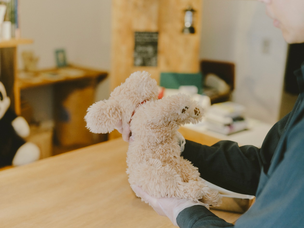 「ぬいぐるみを洗う人はやさしい」飯村諭さん | ふっくらパイルフェイスタオル ほか_il1WOM