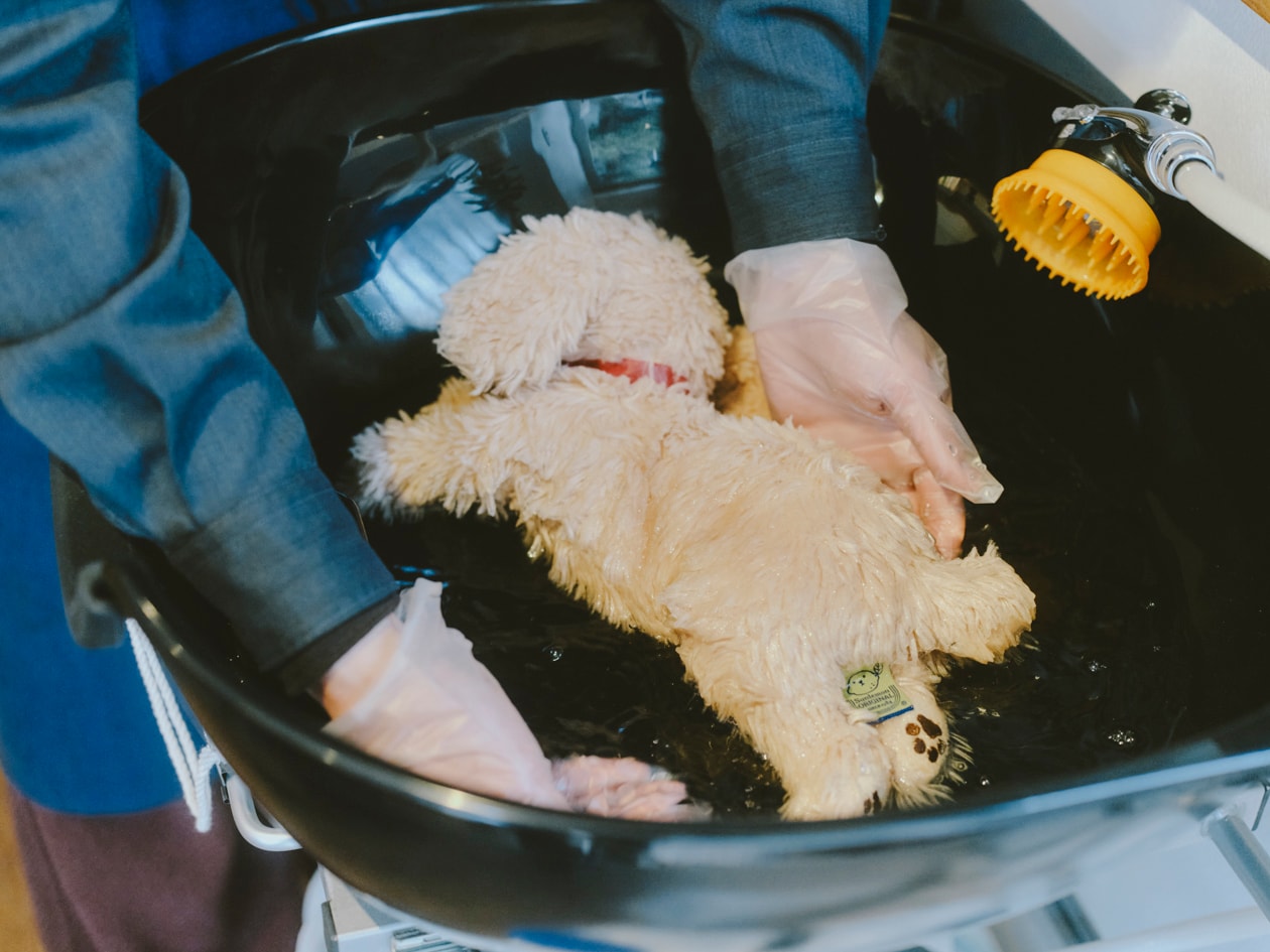「ぬいぐるみを洗う人はやさしい」飯村諭さん | ふっくらパイルフェイスタオル ほか_0xr3av