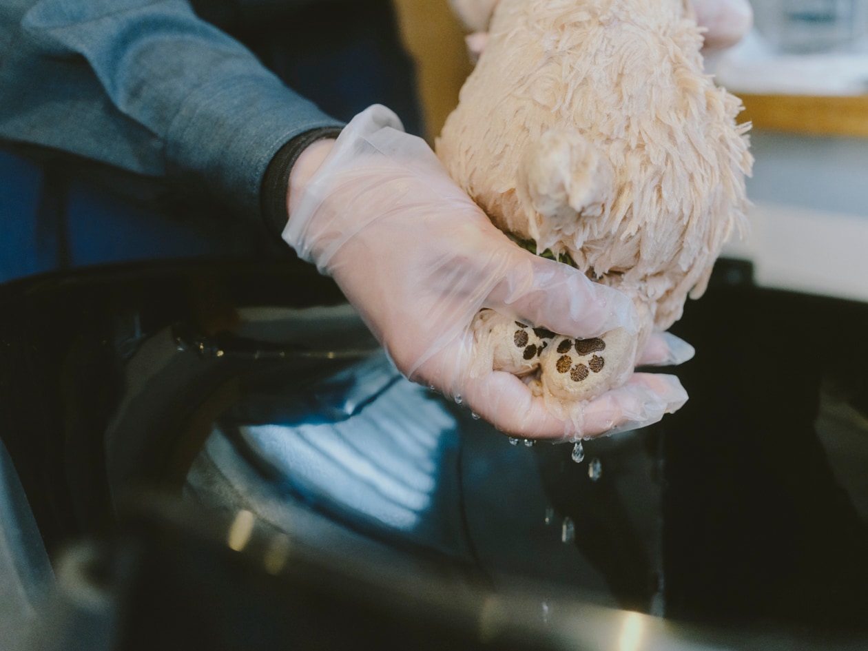 「ぬいぐるみを洗う人はやさしい」飯村諭さん | ふっくらパイルフェイスタオル ほか_Q3hLmO