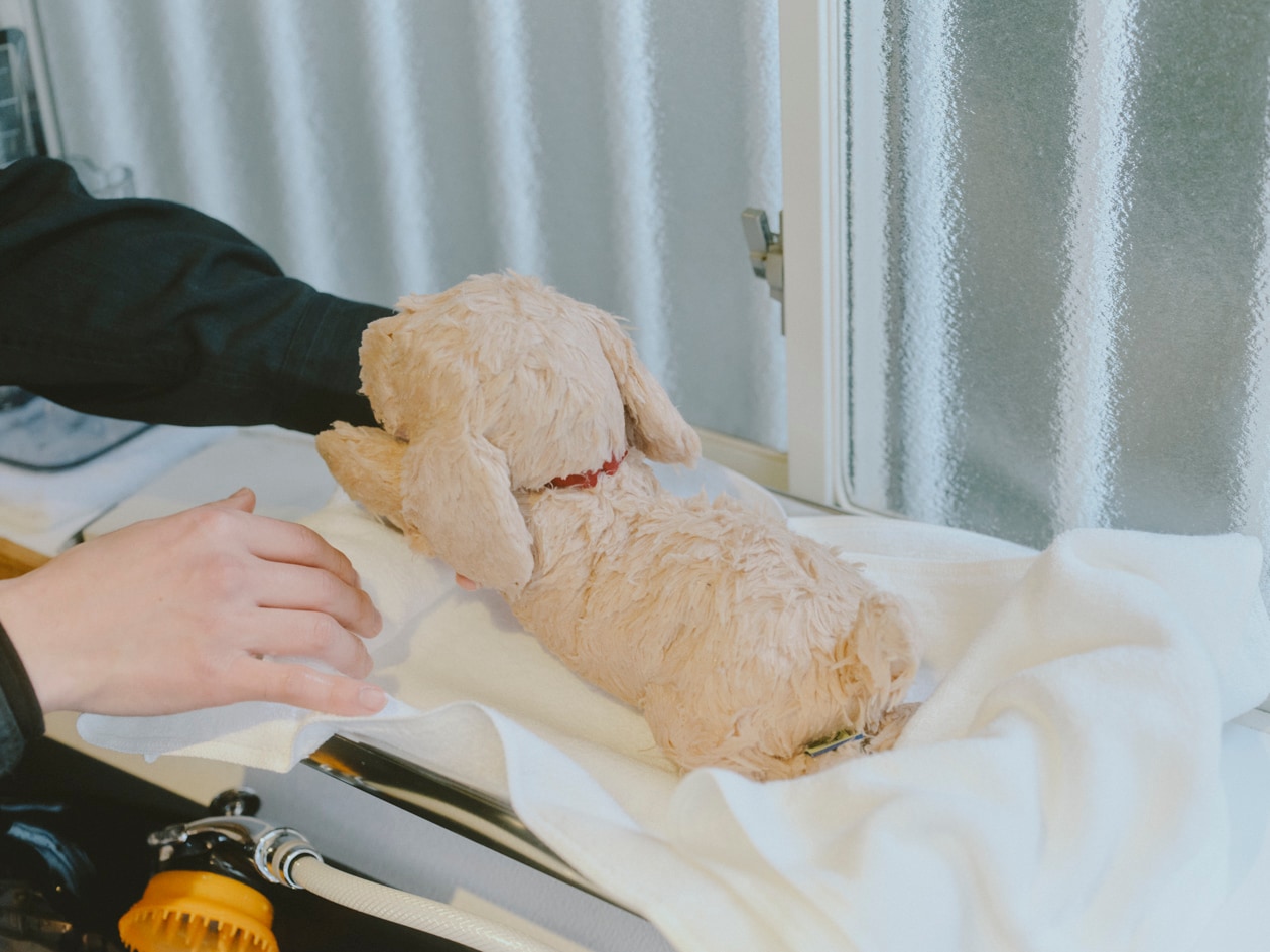 「ぬいぐるみを洗う人はやさしい」飯村諭さん | ふっくらパイルフェイスタオル ほか_kV556W