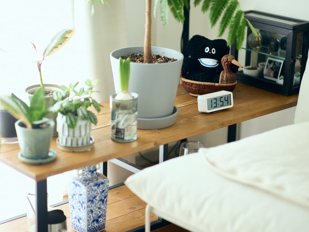 女性二人暮らし、二十年。名前のつかない関係の中で考えた。「“普通”の暮らしってなんだろう」はらだ有彩さん_TRL0ht