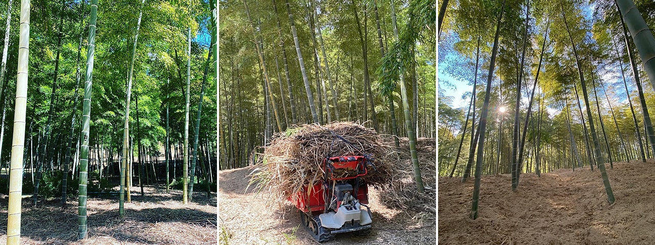 記事内画像：001 200年前からの伝統製法を受け継ぐ、京都の「白子たけのこ」。【DELICEキョウト】の挑戦