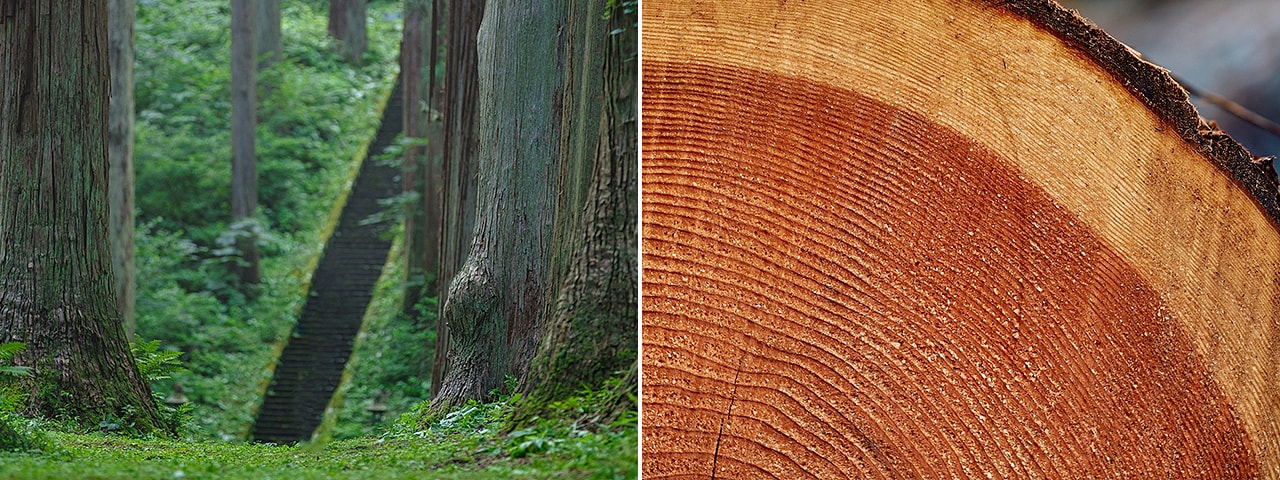記事内画像：001 限りある資源を生かすことから生まれた、【大館工芸社】の新しい曲げわっぱ「Blanc Pa」
