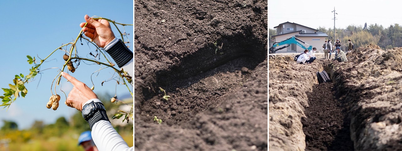 記事内画像：002 安心して食べられる野菜作りは健全な土作りから。【アグリ・アライアンス（脇農園）】