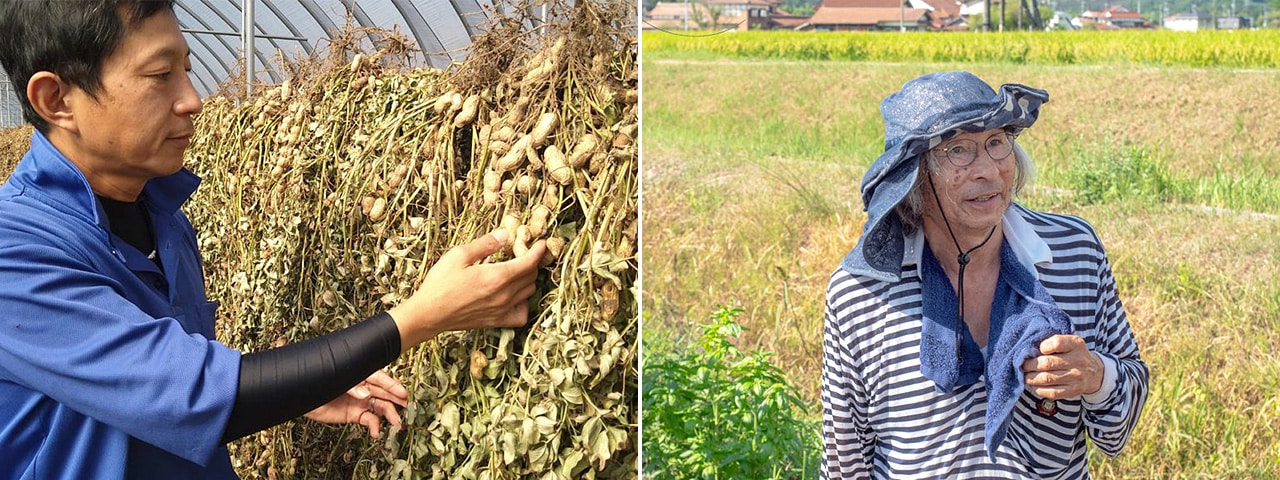 記事内画像：003 安心して食べられる野菜作りは健全な土作りから。【アグリ・アライアンス（脇農園）】