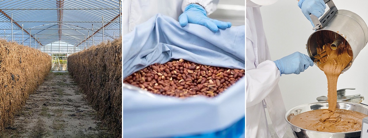 記事内画像：001 安心して食べられる野菜作りは健全な土作りから。【アグリ・アライアンス（脇農園）】