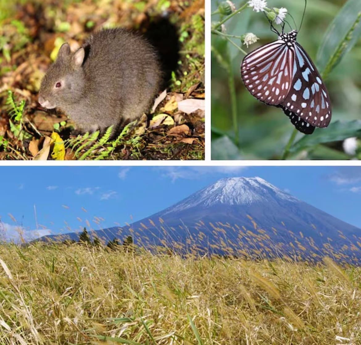 MUJIアプリでたまったポイントで、「寄付」する方法_50rg7j