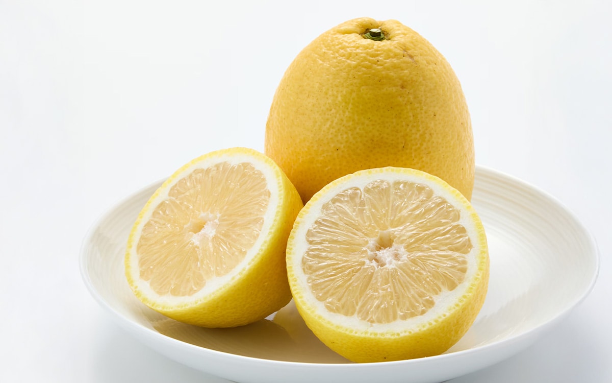 春の訪れとともに楽しむ、柑橘