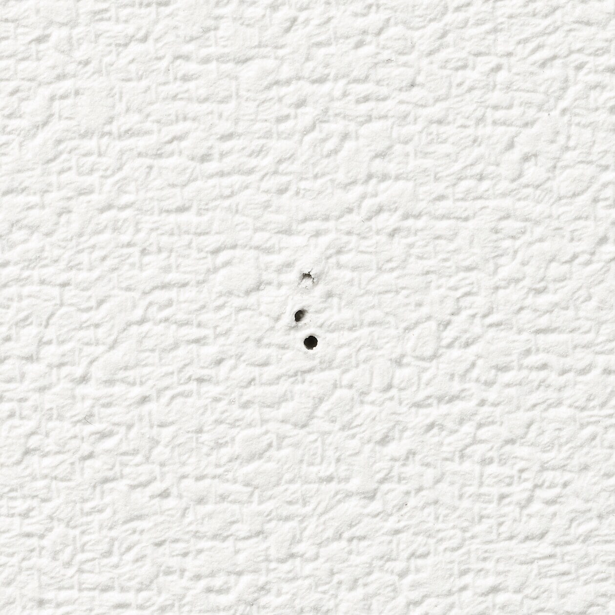 壁からピンを外した様子