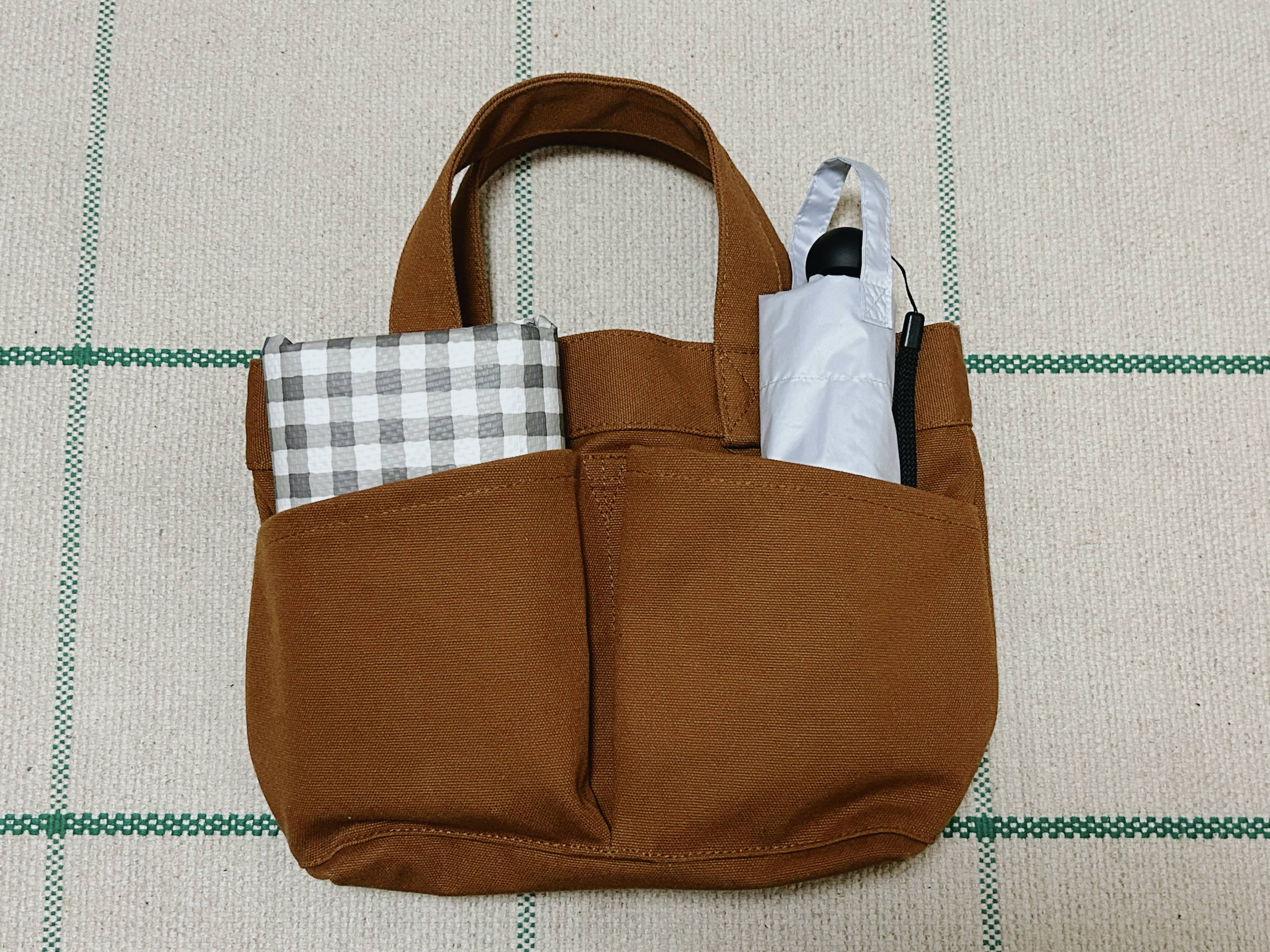 春のピクニックアイテム、全部入りました | 帆布 ミニトートバッグ_65QE9j