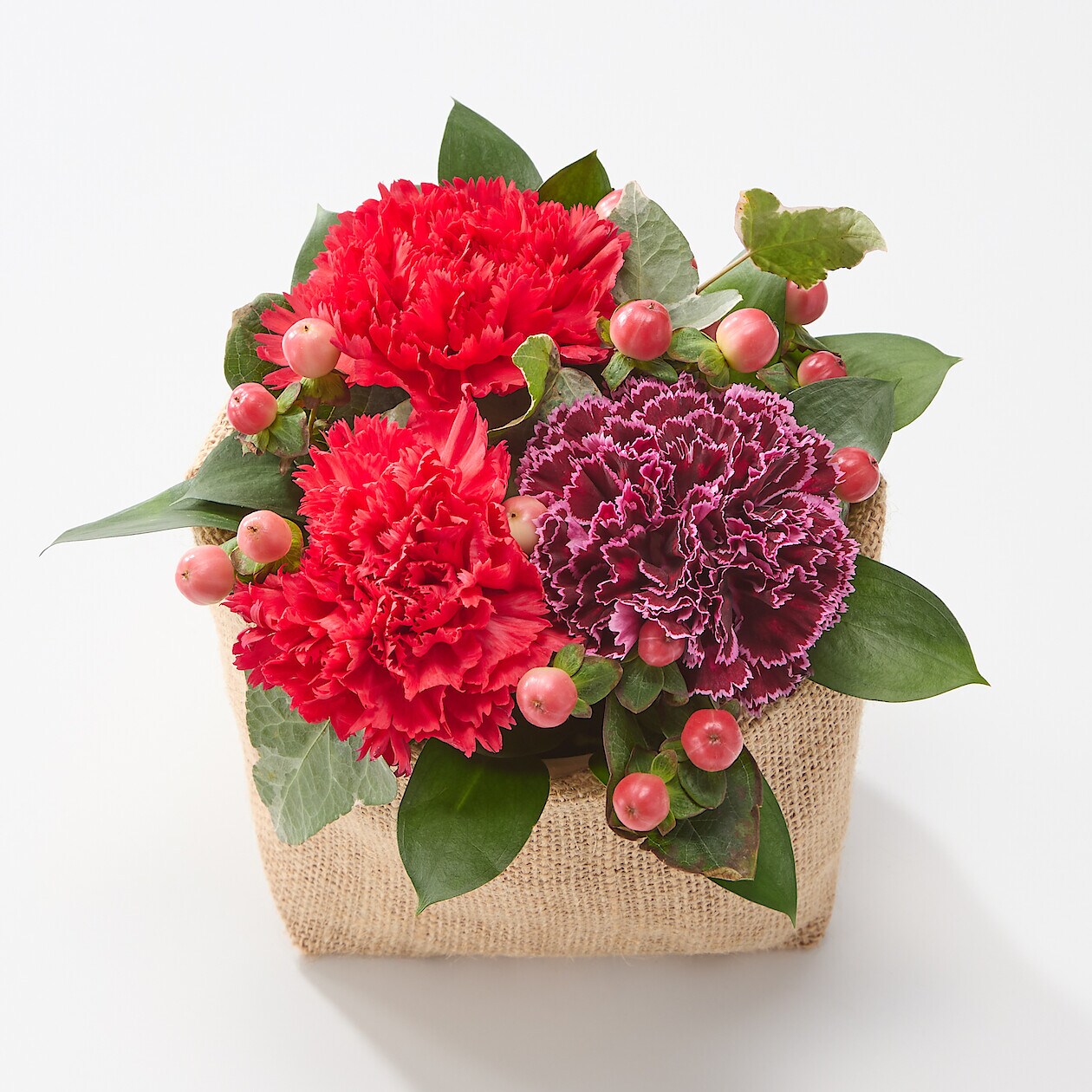 無印良品の商品を鉢カバーにアレンジしました。