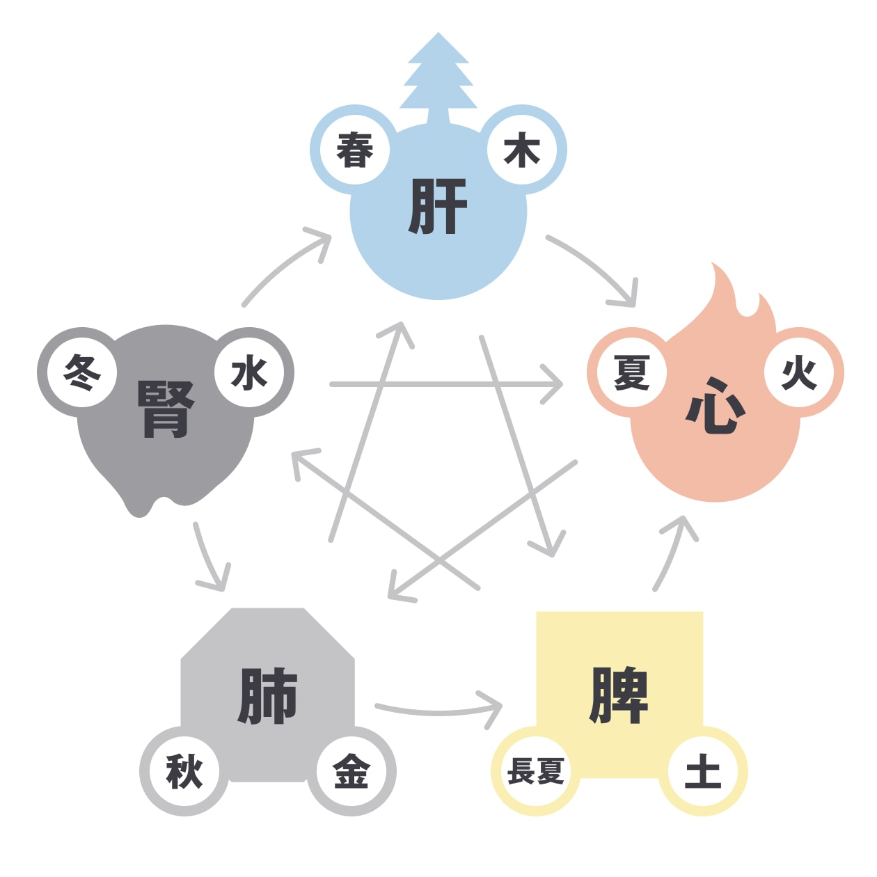 漢方　五行説　無印良品　養生日和　肝