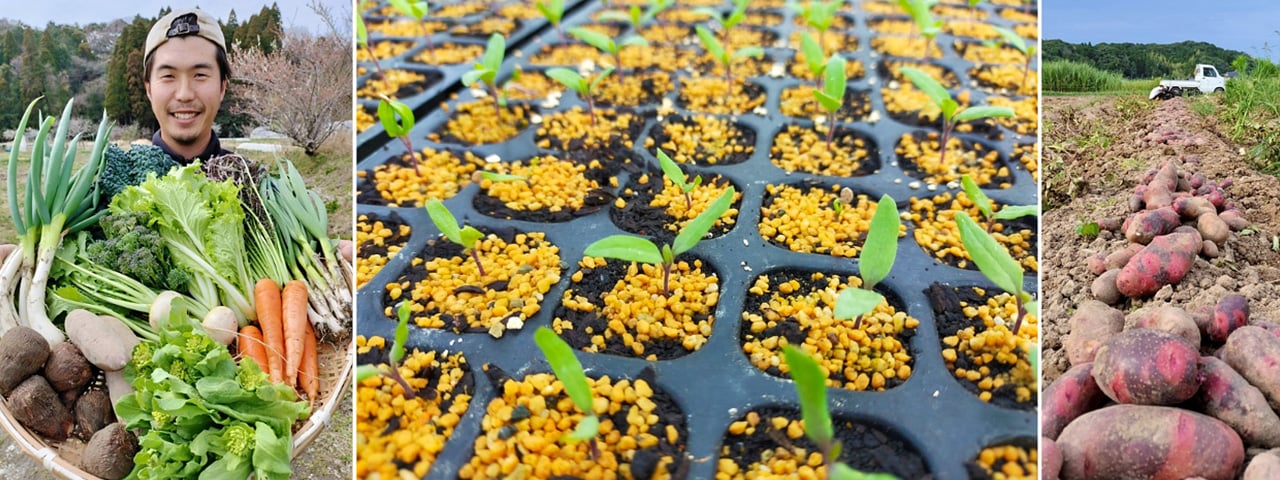 記事内画像：002 ―季の味　季のまま　気の向くままに―【季のまま】