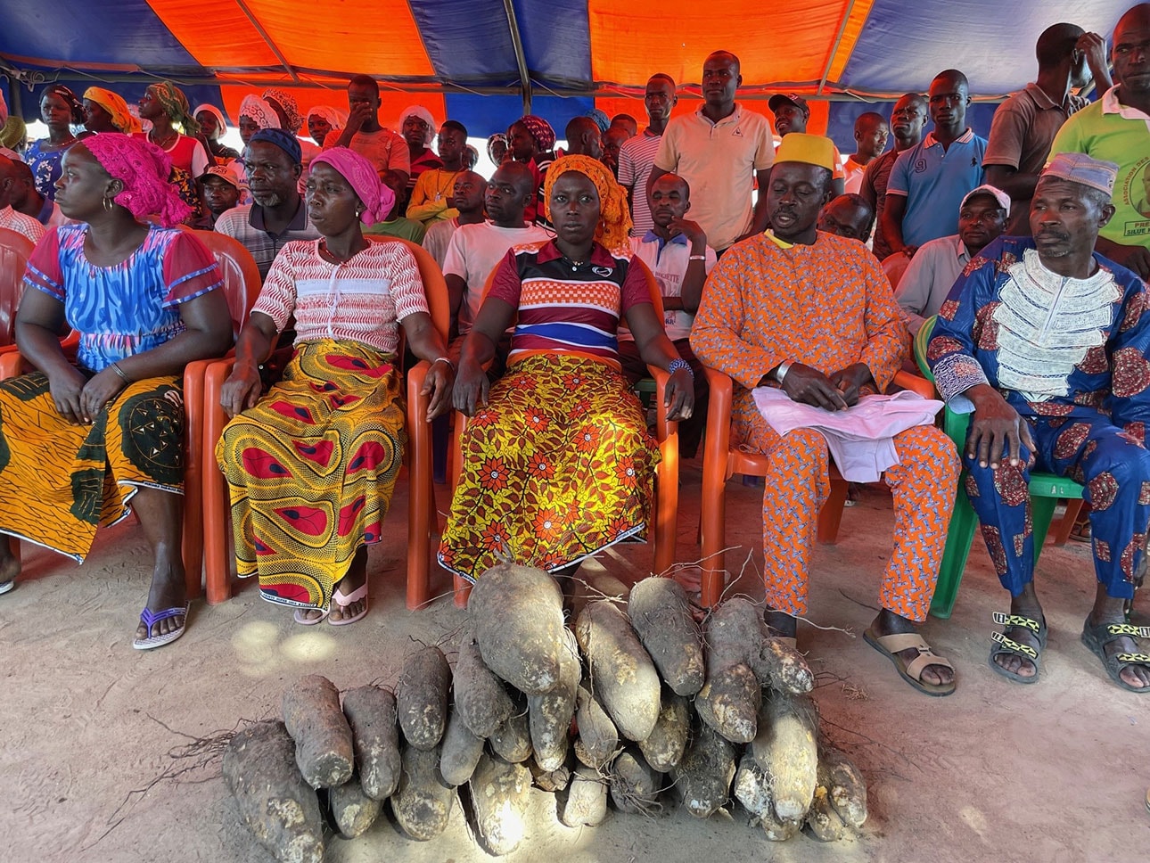 アフリカの自然が育てた綿｜農業の健全な発展と、自然環境の保全につながる_KQsT5k