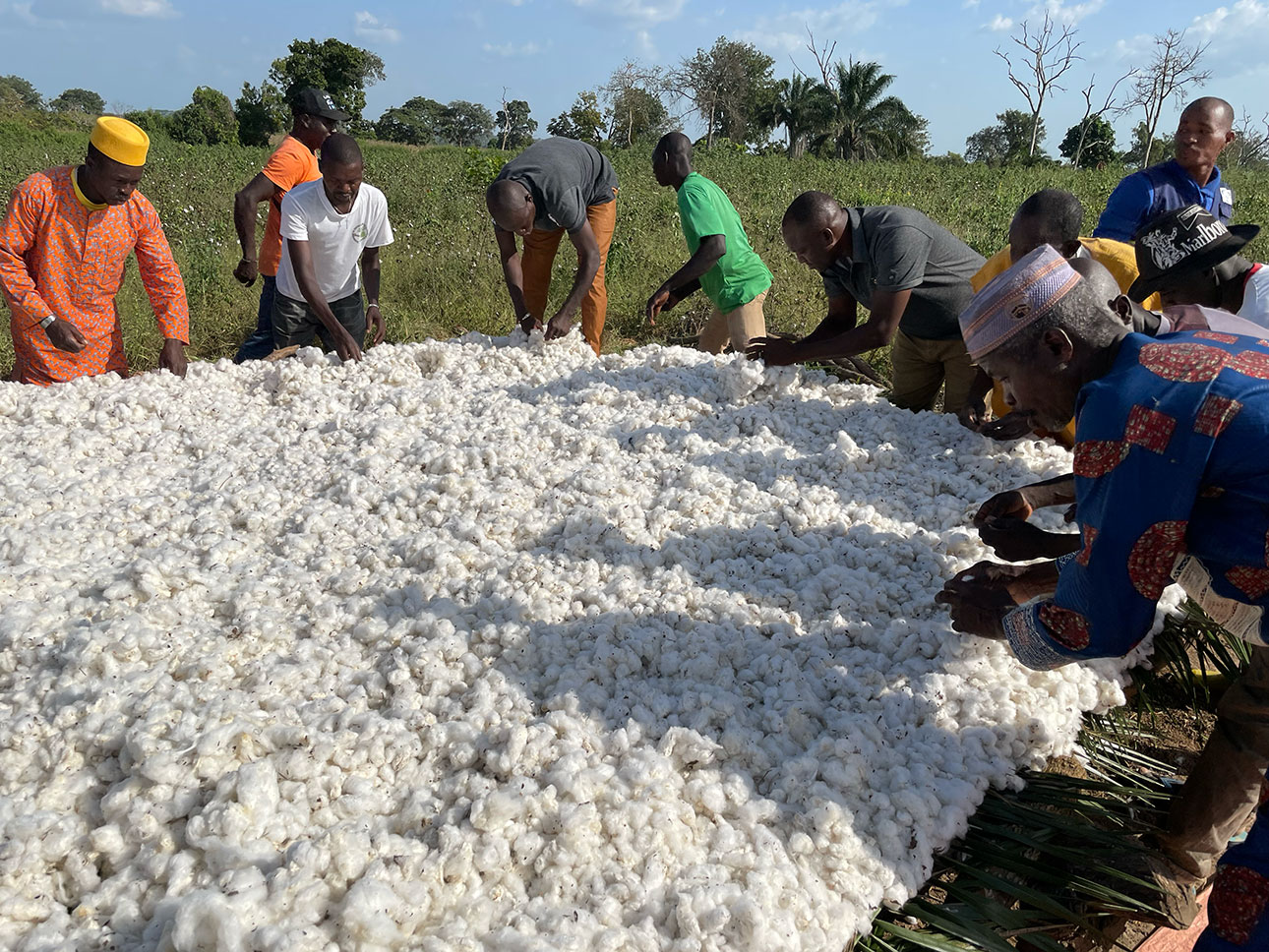 アフリカの自然が育てた綿｜農業の健全な発展と、自然環境の保全につながる_Zrn0tq