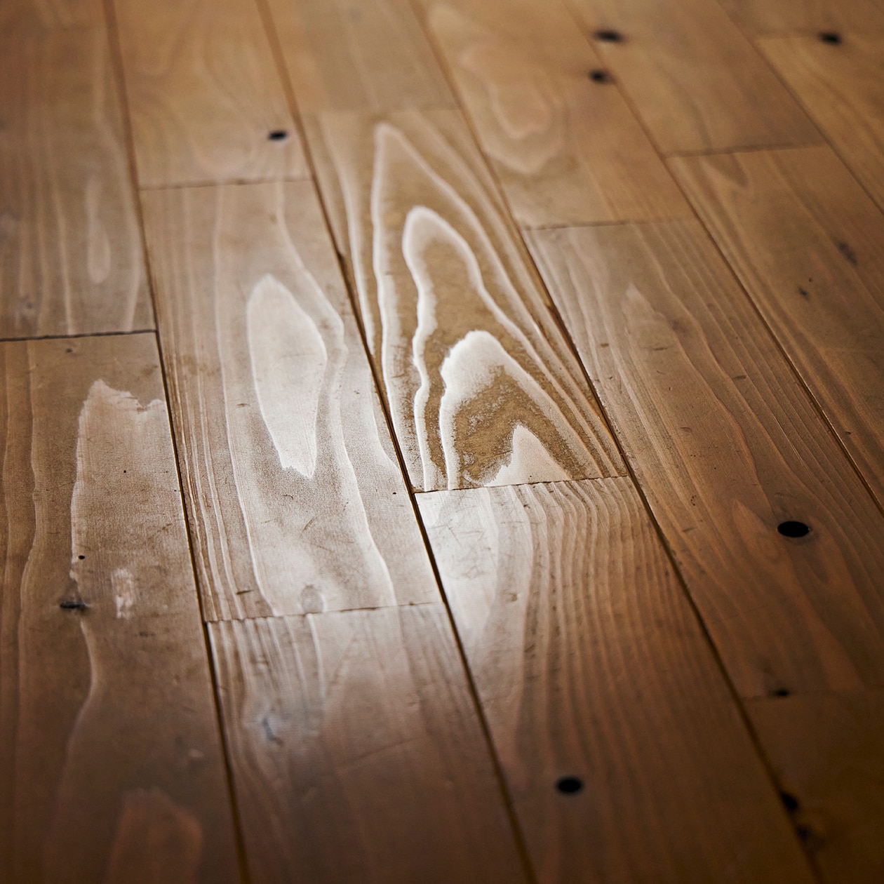 使いながら触れながら、木と向き合う部屋 | ステンレス ユニットシェルフ、壁に付けられる 家具 ほか_h1fA2P