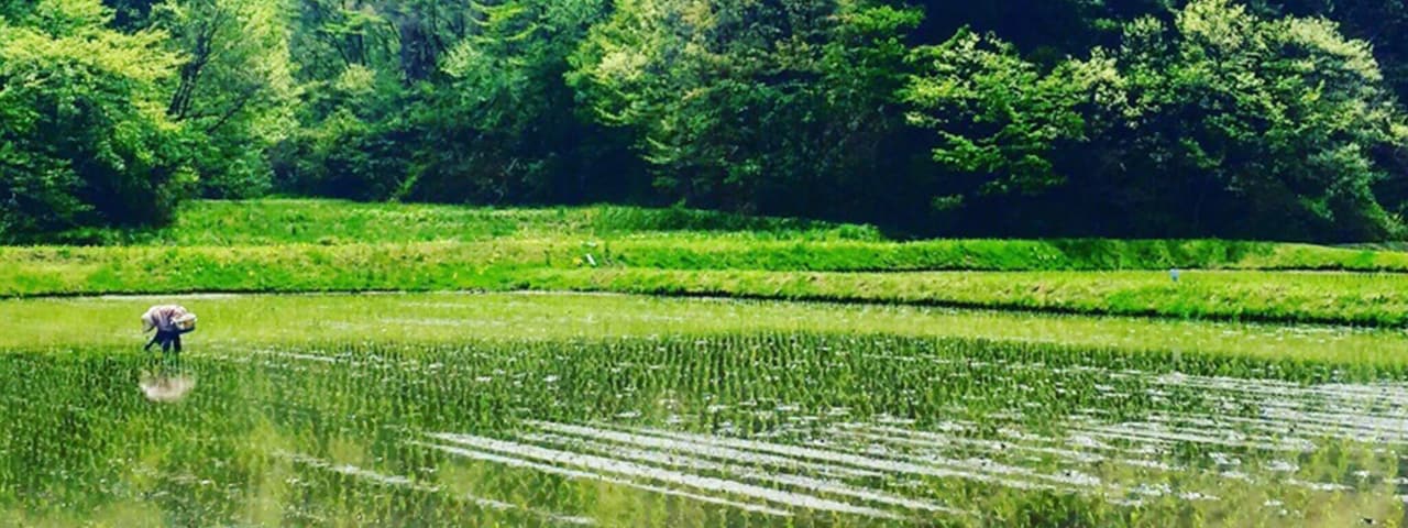 記事内画像：001 能登の雫が生むシングルオリジン。山燕庵の深呼吸農法 【山燕庵】