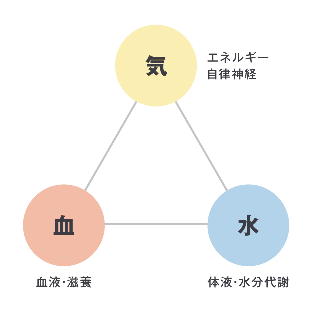 漢方の気血水の説明