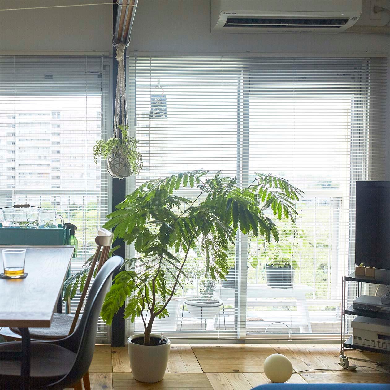 吐き出し窓の風景