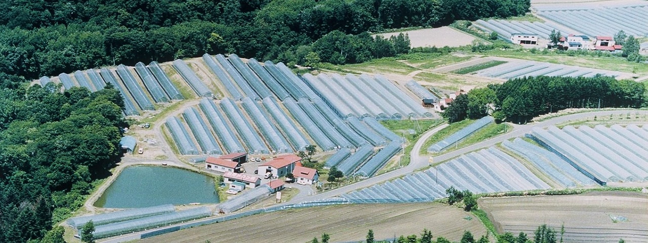 記事内画像:001 北海道・夕張の大地で、70年以上に渡ってメロン一筋。【北海道日原】の完熟メロン