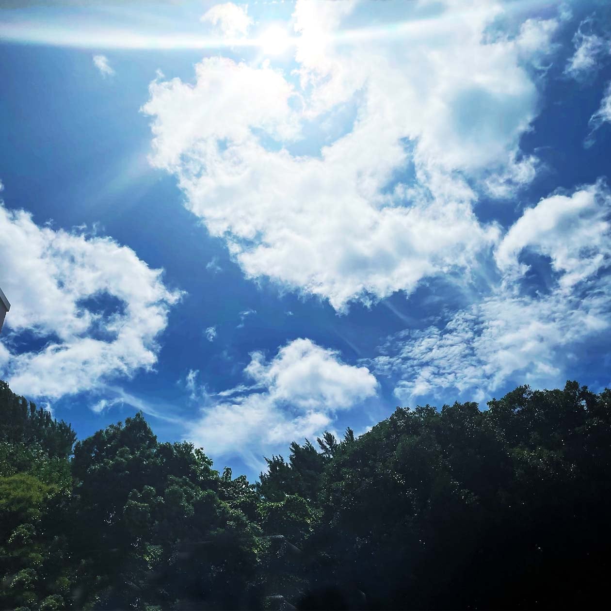 真夏の空