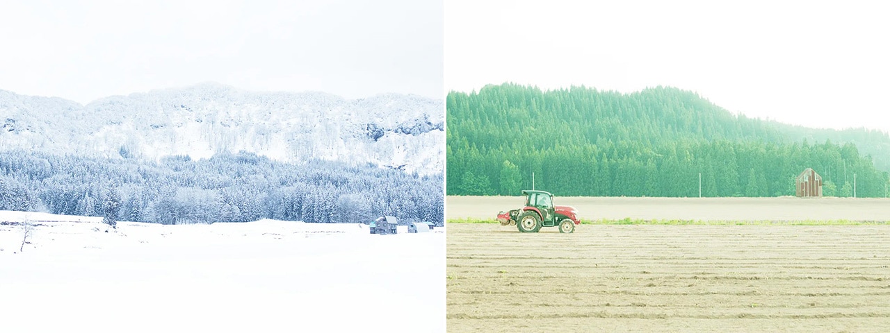 記事内画像：001 豪雪地が育む、日本一の茶豆。新潟・妻有「つまりちゃまめ」【柳農産】